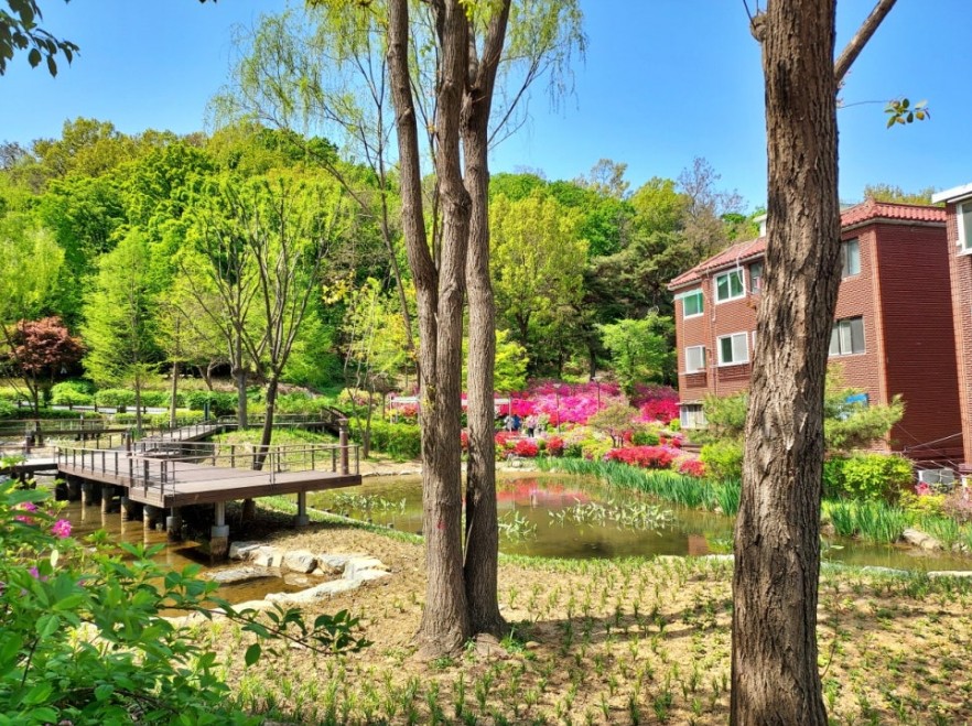 매봉산잣절공원 전경 3